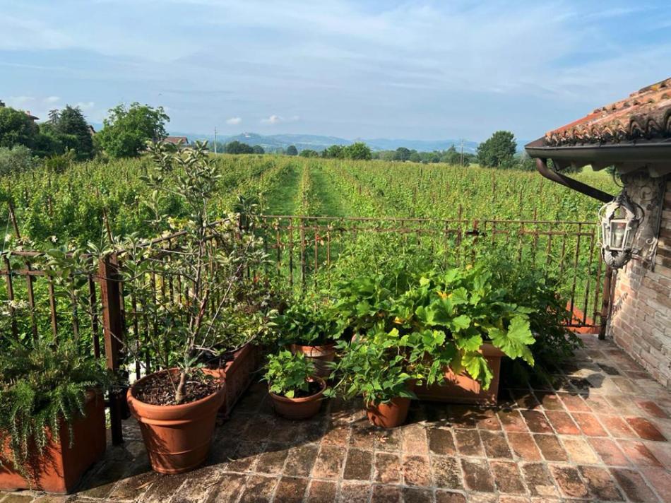 Casale Hortensia Reggio d'Emilie Extérieur photo